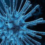 Coronavirus/COVID-19 – Informationen zur aktuellen Situation